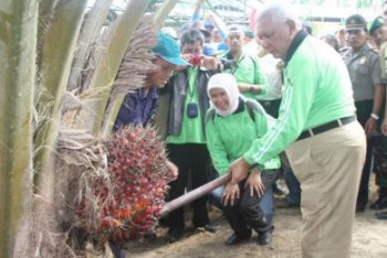 Perkebunan Serap Ratusan Ribu Tenaga Kerja